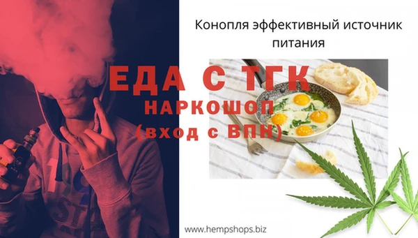 тгк Дегтярск